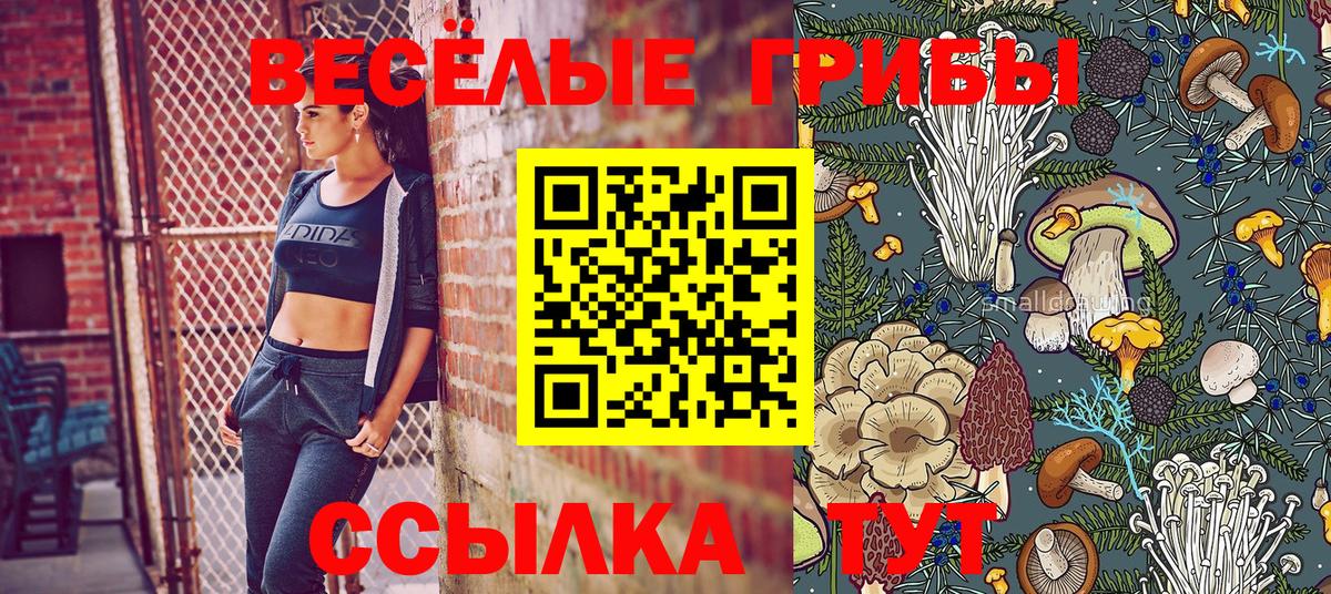 Псилоцибиновые грибы Magic Shrooms  Галлюциногенные грибы MAGIC MUSHROOMS  Будённовск  Вход с VPN 